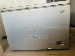 Nasco Deep Freezer