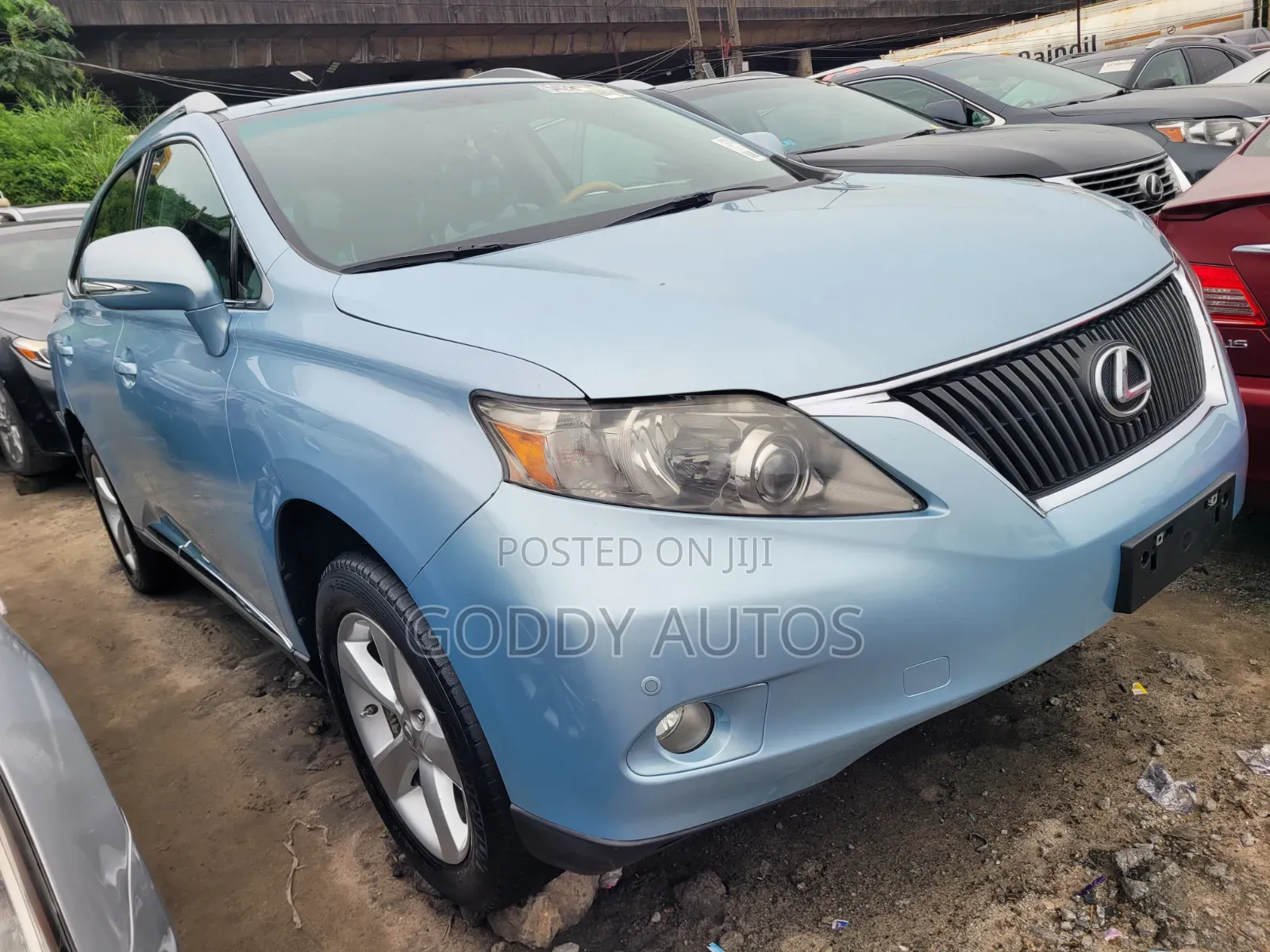 Lexus RX 2010 Blue