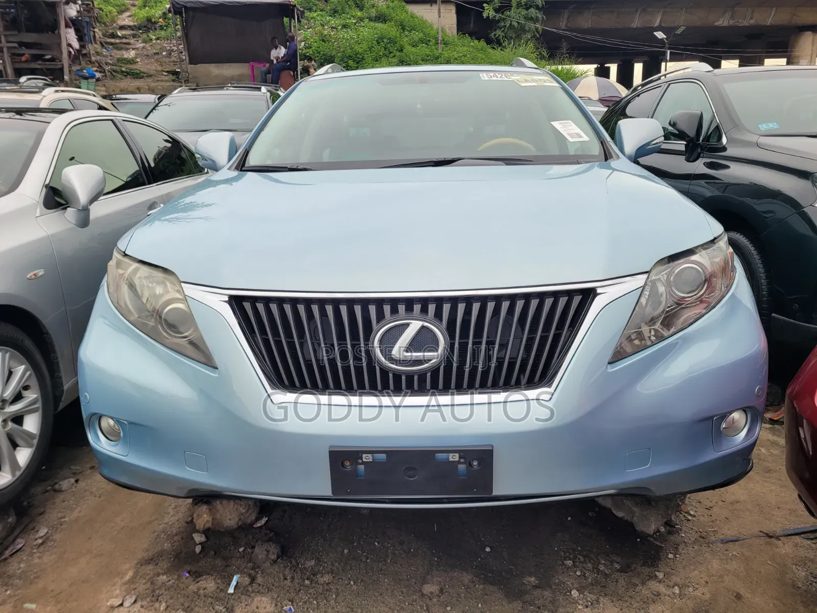 Lexus RX 2010 Blue
