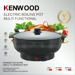 Kenwood Electric Pot
