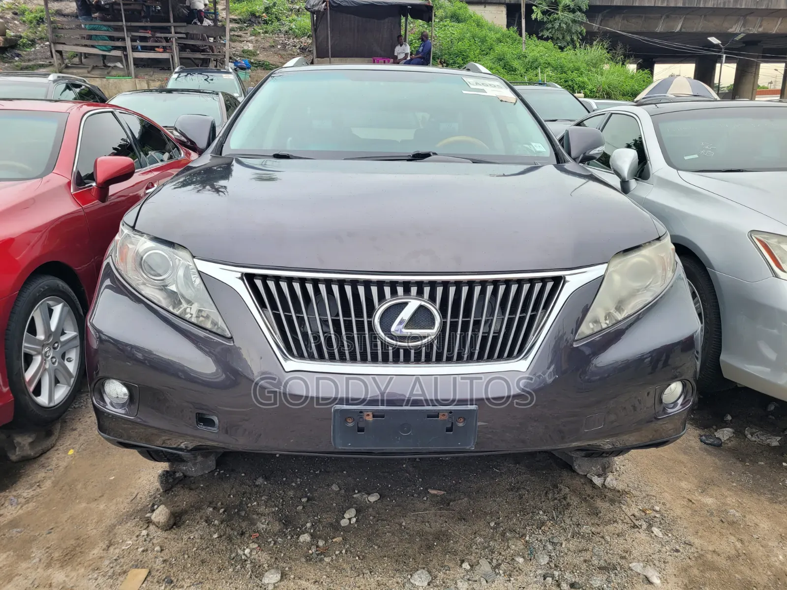 Lexus RX 2010 Gray