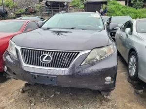 Lexus RX 2010 Gray
