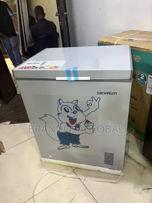 Skyrun BD-180 Large Capacity Freezer
