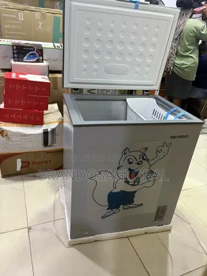 Skyrun BD-180 Large Capacity Freezer