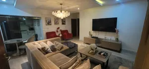Furnished Mini Flat in Freedom Way, Lekki Phase 1 for sale