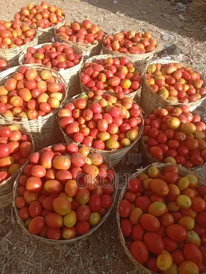 Foodstuffs