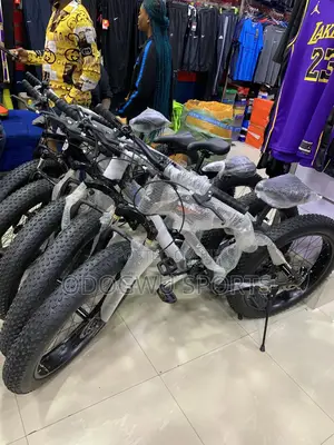 Amazing Fat Tyre Bicycle F524