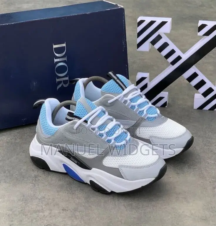 Dior Homme Sneakers — Premium Quality