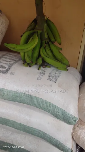 Yam Flour,unripeplantain