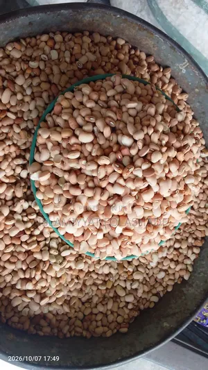 Yam Flour,unripeplantain