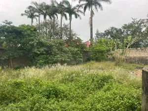 376.699Sqm Land Off Clem Road Ojokoro Abulegba Lagos State Nigeria