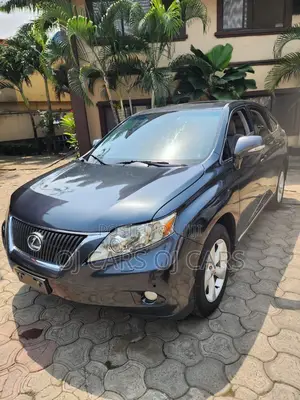 Lexus RX 350 2010 Gray