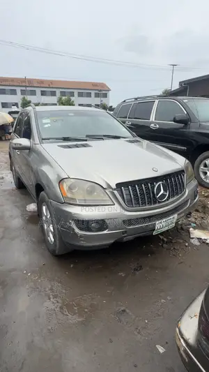 Mercedes-Benz M Class 2008 Gray