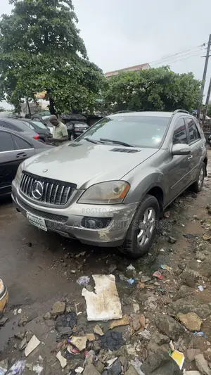 Mercedes-Benz M Class 2008 Gray
