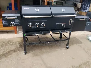 Gas and Charcoal Barbecue