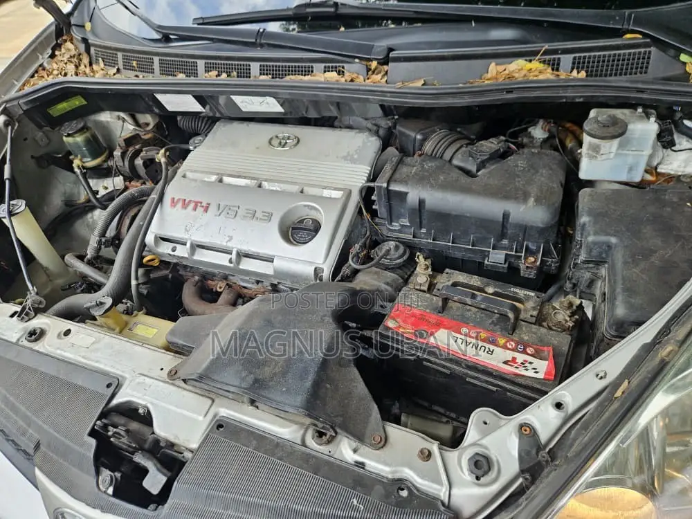 Toyota Sienna CE AWD 2006 Gray