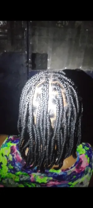 Hairstylist in Karrimajigi, Airport Rd Abuja - Braids & Natural Hair