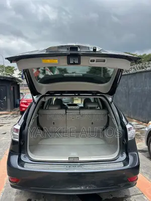 Lexus RX 350 2010 Gray