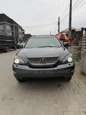 Lexus RX 2006 Gray
