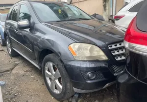 Mercedes-Benz M Class 2010 Gray