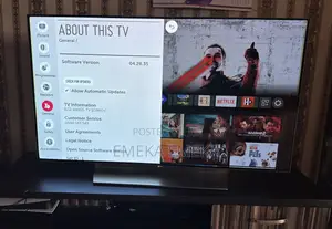 The LG 55’ 4k Ultra Hd Oled Smart TV