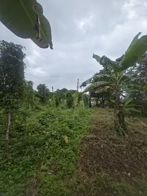 60 Acres of Land