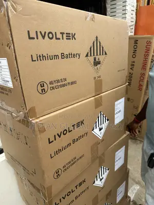 Livoltek 2.5kwh .24v Lithium Battery