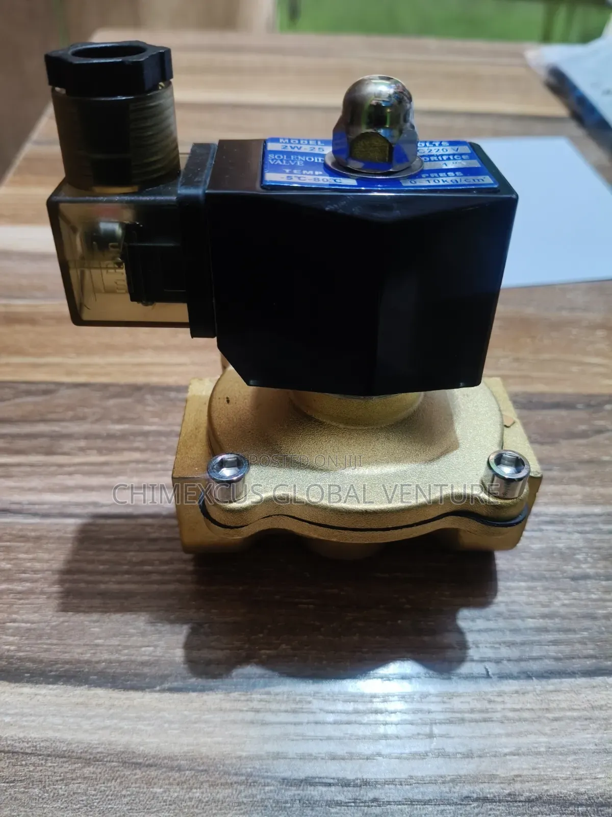 1'' Solenoid Valve AC220v