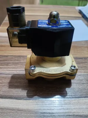 1'' Solenoid Valve AC220v