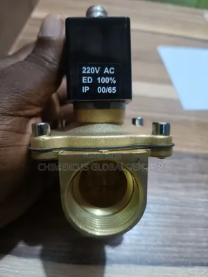 1'' Solenoid Valve AC220v