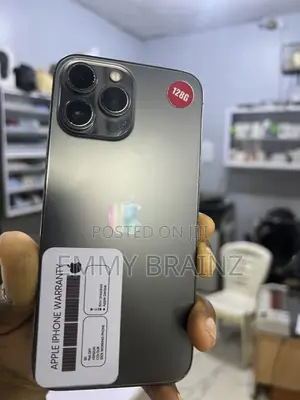 Apple iPhone 13 Pro Max 128 GB Gray