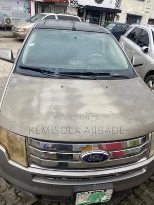 Ford Edge 2008 Gray