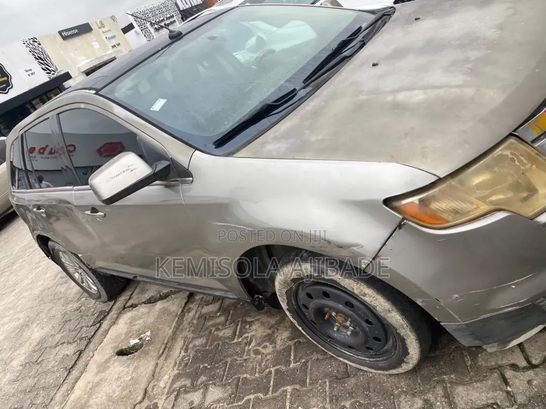 Ford Edge 2008 Gray