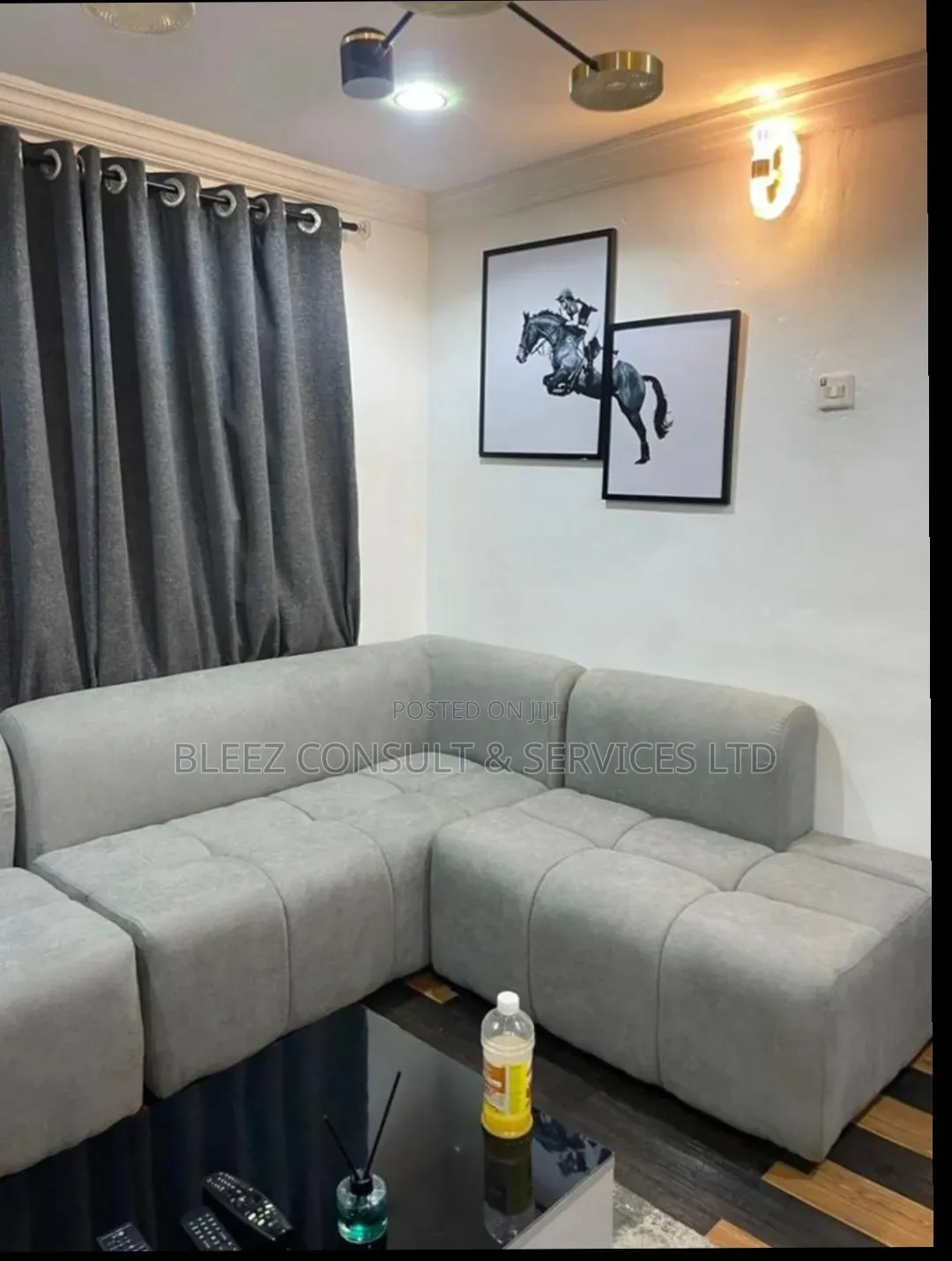 Luxury Couch