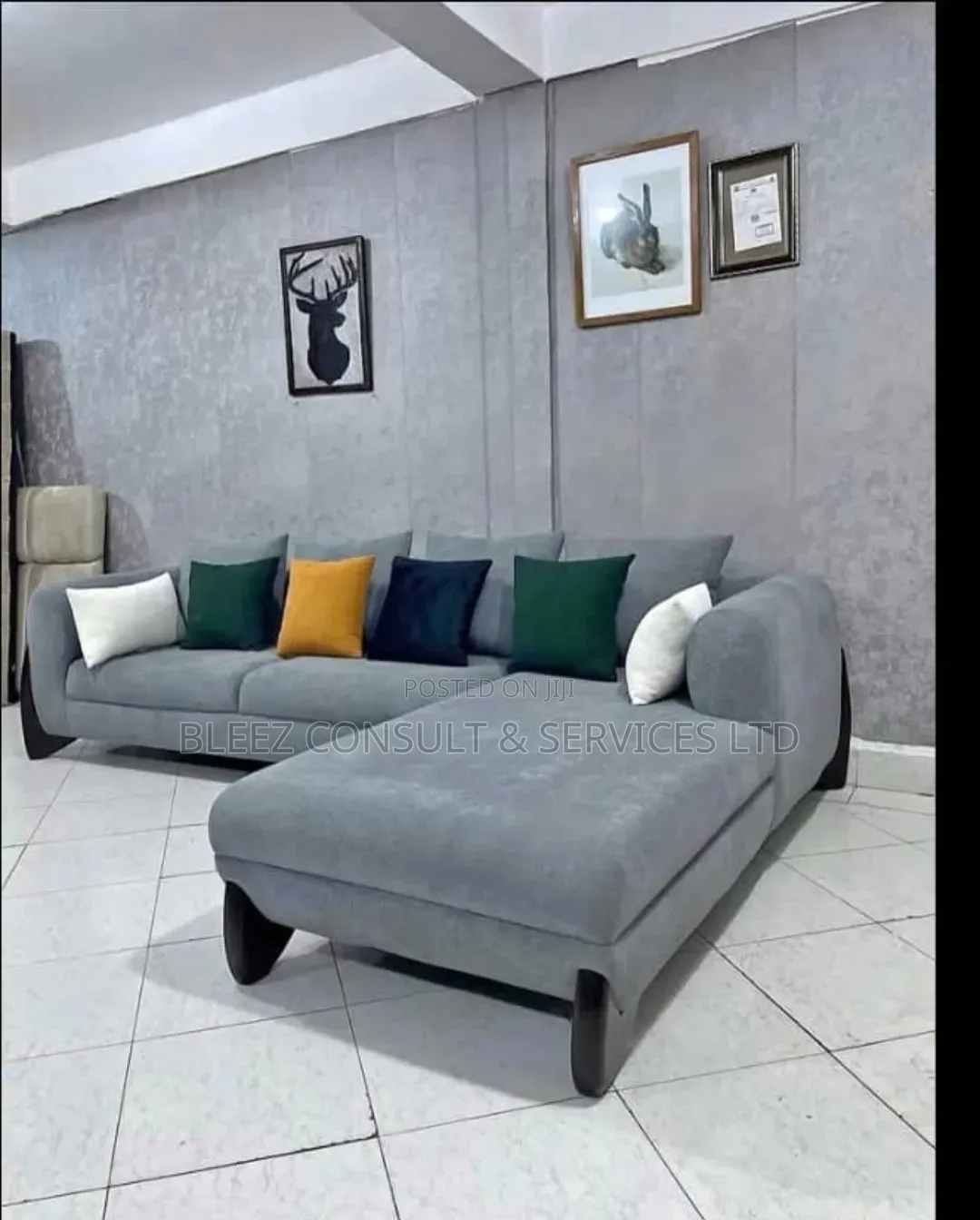 Luxury Couch