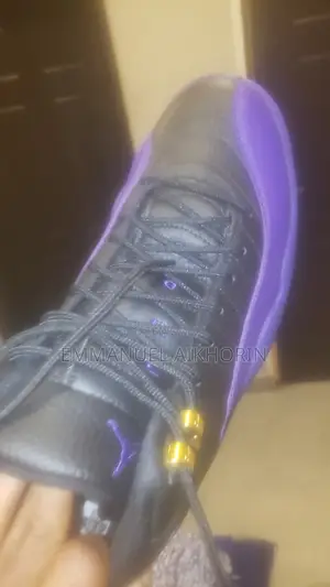 Air Jordan 12 Retro Used