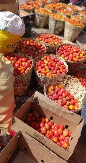 UTC (Tomato Jos)