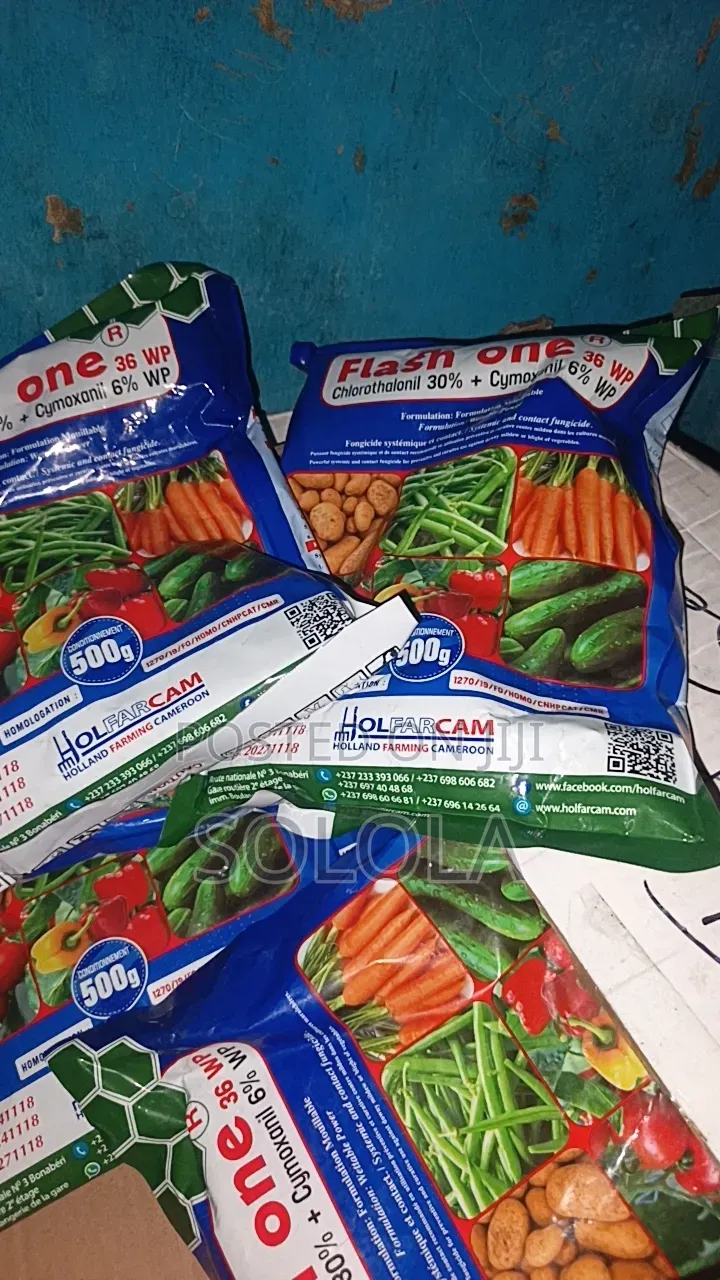Flash One Fungicide