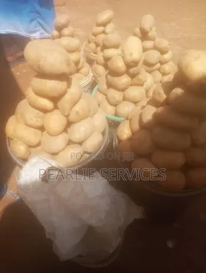 Selected Irish Potatoes