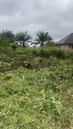 Genuine Land for Sale. 50/100 With Foundation