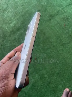Apple iPhone 15 Pro Max 256 GB Rose Gold