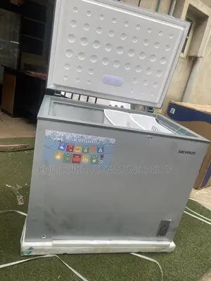 Skyrun BD-260A 260L Meat Storage Freezer