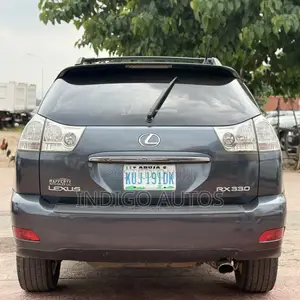 Lexus RX 330 2004 Gray