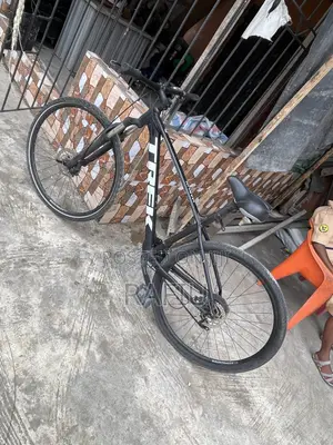 Spot Bicycle