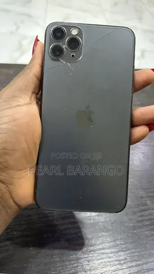 Apple iPhone 11 Pro Max 256 GB Gray
