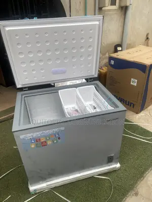 Skyrun BD-260A 260L Deep Storage Freezer