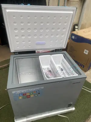 BD-260A Skyrun 260L Chest Freezer for Shop