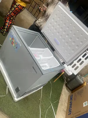 Skyrun 260L BD-260A Deep Freezing Chest