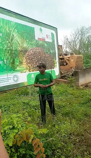 Acre Oil Palmrich Phase 9 in Odeda, Ogun State