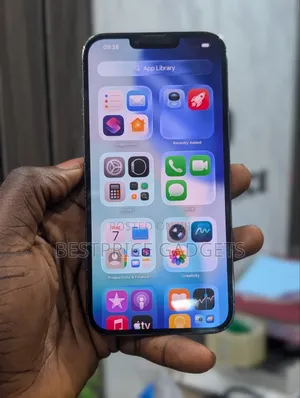 Apple iPhone 13 Pro Max 256 GB Gray